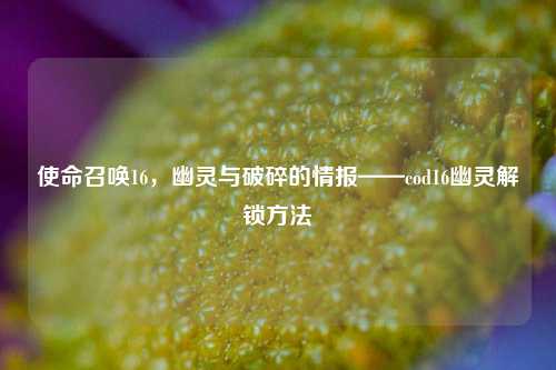 使命召唤16,幽灵与破碎的情报——cod16幽灵解锁方法