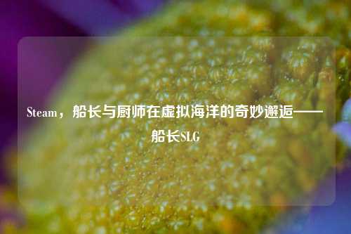 Steam,船长与厨师在虚拟海洋的奇妙邂逅——船长SLG
