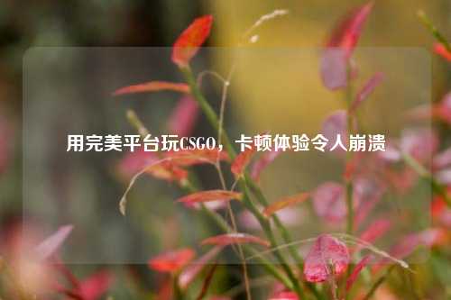 用完美平台玩CSGO，卡顿体验令人崩溃