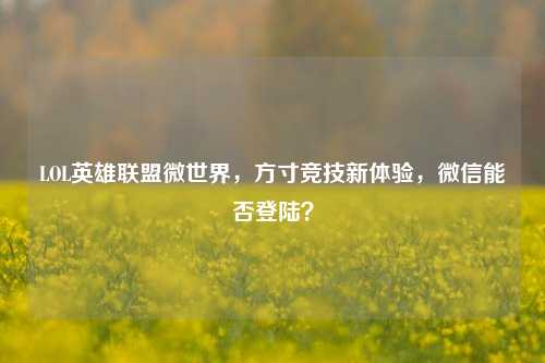 LOL英雄联盟微世界,方寸竞技新体验,微信能否登陆?