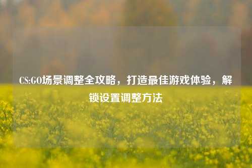 CS:GO场景调整全攻略，打造最佳游戏体验，解锁设置调整方法