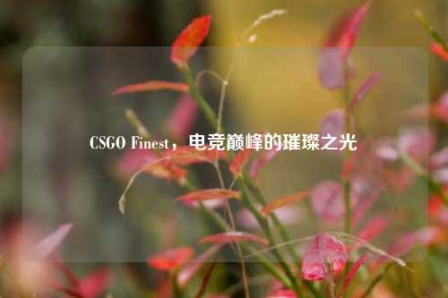 CSGO Finest,电竞巅峰的璀璨之光