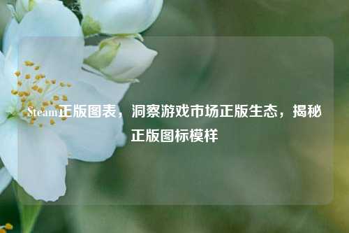 Steam正版图表,洞察游戏市场正版生态,揭秘正版图标模样
