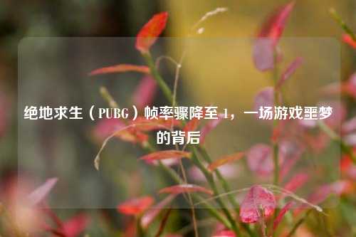 绝地求生(PUBG)帧率骤降至 1,一场游戏噩梦的背后