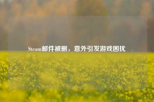Steam邮件被删,意外引发游戏困扰