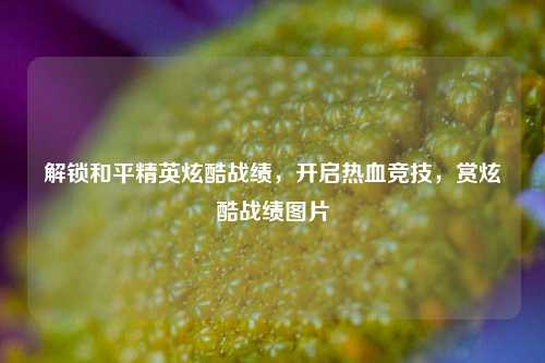 解锁和平精英炫酷战绩，开启热血竞技，赏炫酷战绩图片