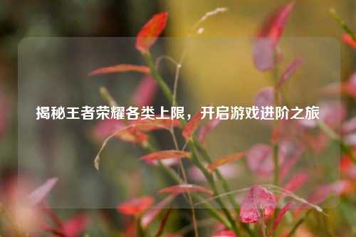 揭秘王者荣耀各类上限,开启游戏进阶之旅