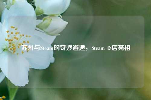 苏州与Steam的奇妙邂逅,Steam 4S店亮相