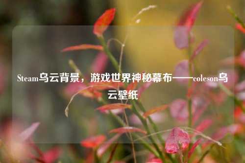 Steam乌云背景,游戏世界神秘幕布——coleson乌云壁纸
