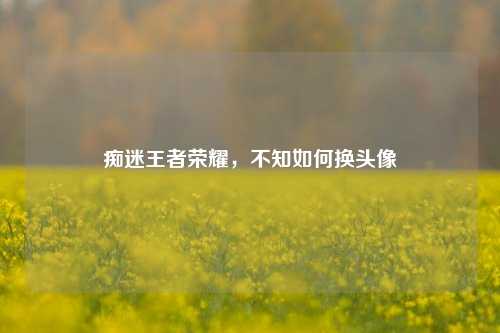 痴迷王者荣耀，不知如何换头像