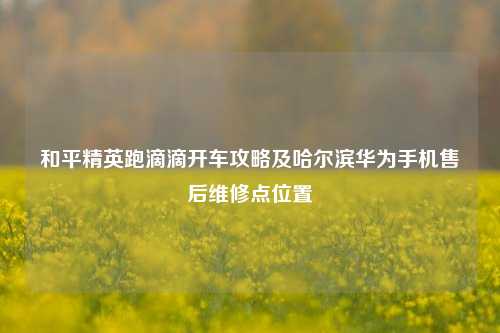 和平精英跑滴滴开车攻略及哈尔滨华为手机售后维修点位置