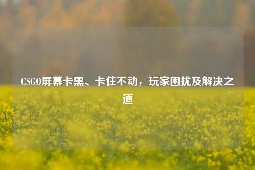CSGO屏幕卡黑、卡住不动，玩家困扰及解决之道