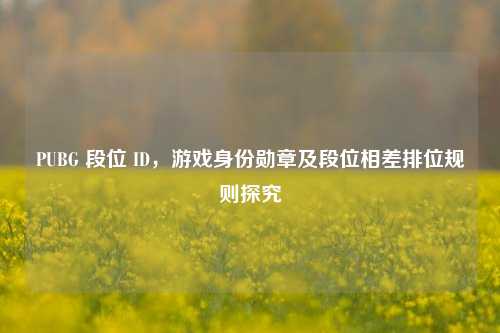 PUBG 段位 ID，游戏身份勋章及段位相差排位规则探究