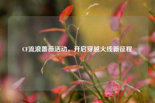 CF流浪蔷薇活动，开启穿越火线新征程