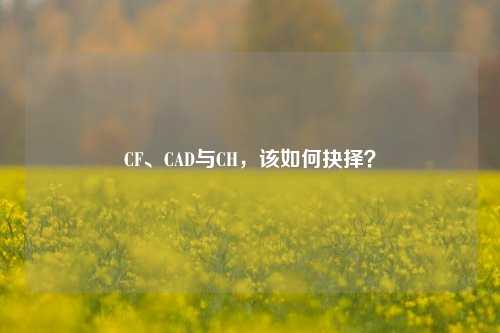 CF、CAD与CH,该如何抉择?