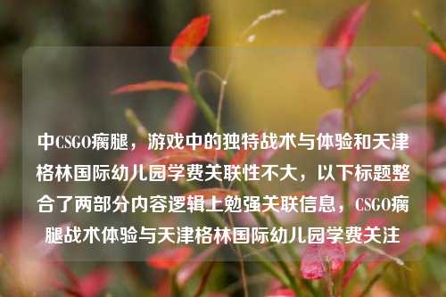 中CSGO瘸腿，游戏中的独特战术与体验和天津格林国际幼儿园学费关联性不大，以下标题整合了两部分内容逻辑上勉强关联信息，CSGO瘸腿战术体验与天津格林国际幼儿园学费关注