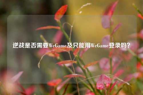 逆战是否需要WeGame及只能用WeGame登录吗？