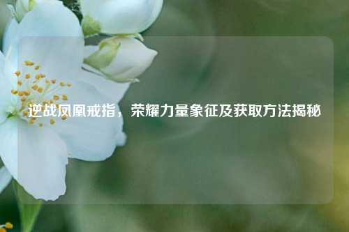 逆战凤凰戒指，荣耀力量象征及获取方法揭秘