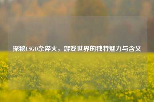 探秘CSGO杂淬火，游戏世界的独特魅力与含义