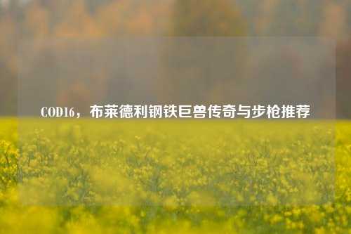 COD16,布莱德利钢铁巨兽传奇与步枪推荐
