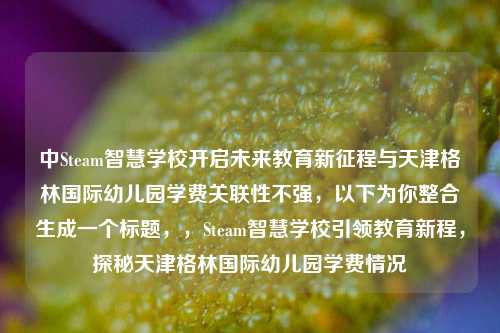 中Steam智慧学校开启未来教育新征程与天津格林国际幼儿园学费关联性不强，以下为你整合生成一个标题，，Steam智慧学校引领教育新程，探秘天津格林国际幼儿园学费情况