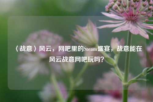 〈战意〉风云,网吧里的Steam盛宴,战意能在风云战意网吧玩吗?