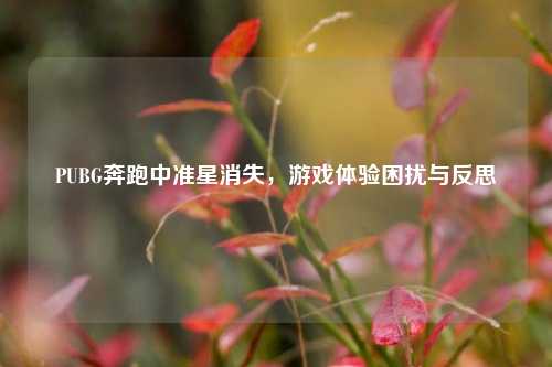 PUBG奔跑中准星消失,游戏体验困扰与反思