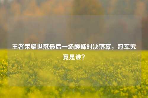 王者荣耀世冠最后一场巅峰对决落幕,冠军究竟是谁?