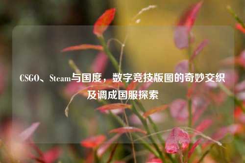 CSGO、Steam与国度,数字竞技版图的奇妙交织及调成国服探索