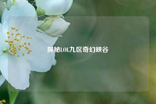 探秘LOL九区奇幻峡谷