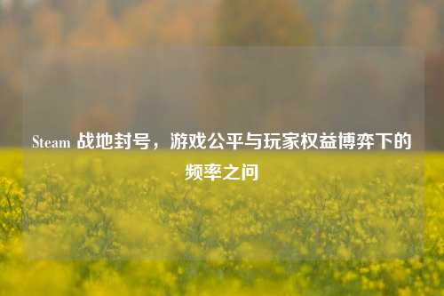 Steam 战地封号,游戏公平与玩家权益博弈下的频率之问