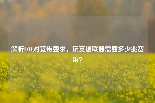 解析LOL对宽带要求,玩英雄联盟需要多少兆宽带?