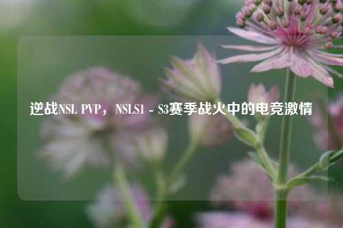 逆战NSL PVP，NSLS1 - S3赛季战火中的电竞激情