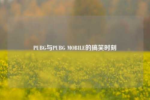 PUBG与PUBG MOBILE的搞笑时刻