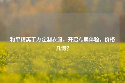 和平精英手办定制衣服,开启专属体验,价格几何?