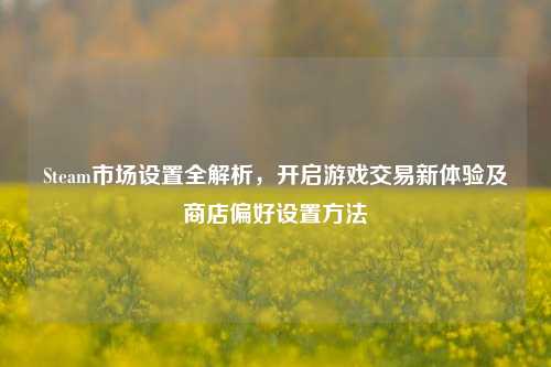 Steam市场设置全解析,开启游戏交易新体验及商店偏好设置方法