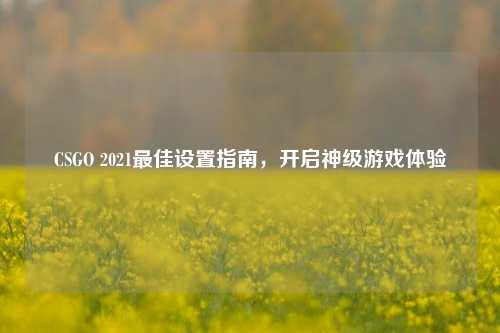 CSGO 2021最佳设置指南，开启神级游戏体验