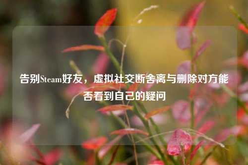 告别Steam好友,虚拟社交断舍离与删除对方能否看到自己的疑问