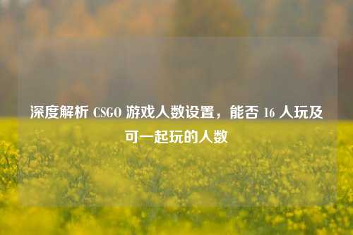 深度解析 CSGO 游戏人数设置,能否 16 人玩及可一起玩的人数