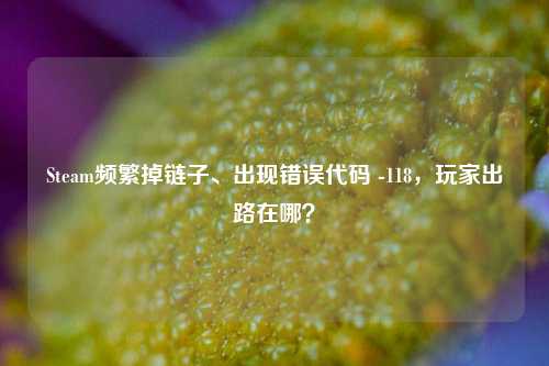 Steam频繁掉链子、出现错误代码 -118,玩家出路在哪?