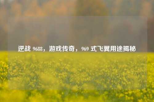 逆战 9688,游戏传奇,969 式飞翼用途揭秘