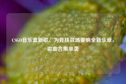 CSGO音乐盒新歌,为竞技战场奏响全新乐章,歌曲合集来袭