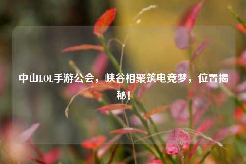 中山LOL手游公会,峡谷相聚筑电竞梦,位置揭秘!