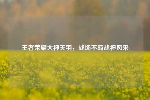 王者荣耀大神关羽，战场不羁战神风采