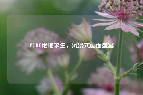PUBG绝地求生,沉浸式画面盛宴