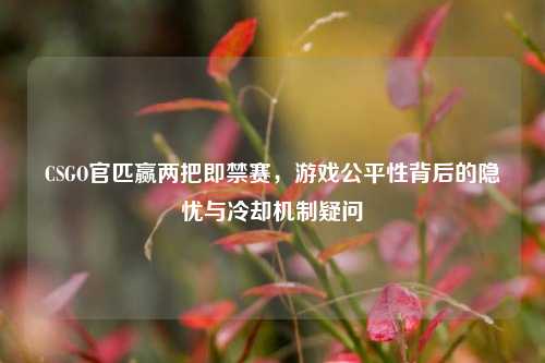 CSGO官匹赢两把即禁赛，游戏公平性背后的隐忧与冷却机制疑问
