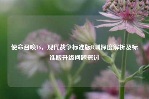 使命召唤16,现代战争标准版B测深度解析及标准版升级问题探讨