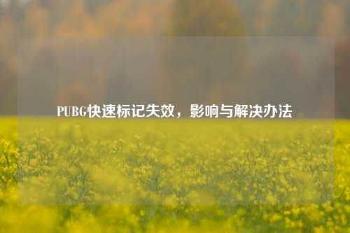 PUBG快速标记失效，影响与解决办法