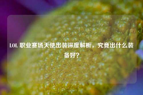 LOL 职业赛场天使出装深度解析,究竟出什么装备好?