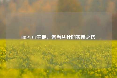 B85M CF主板,老当益壮的实用之选
